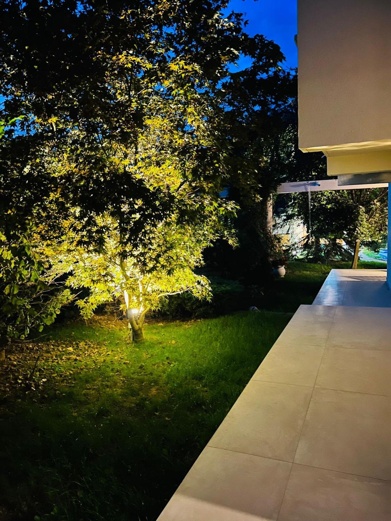 Evie'S Tree House Villa Dragomirna Екстериор снимка