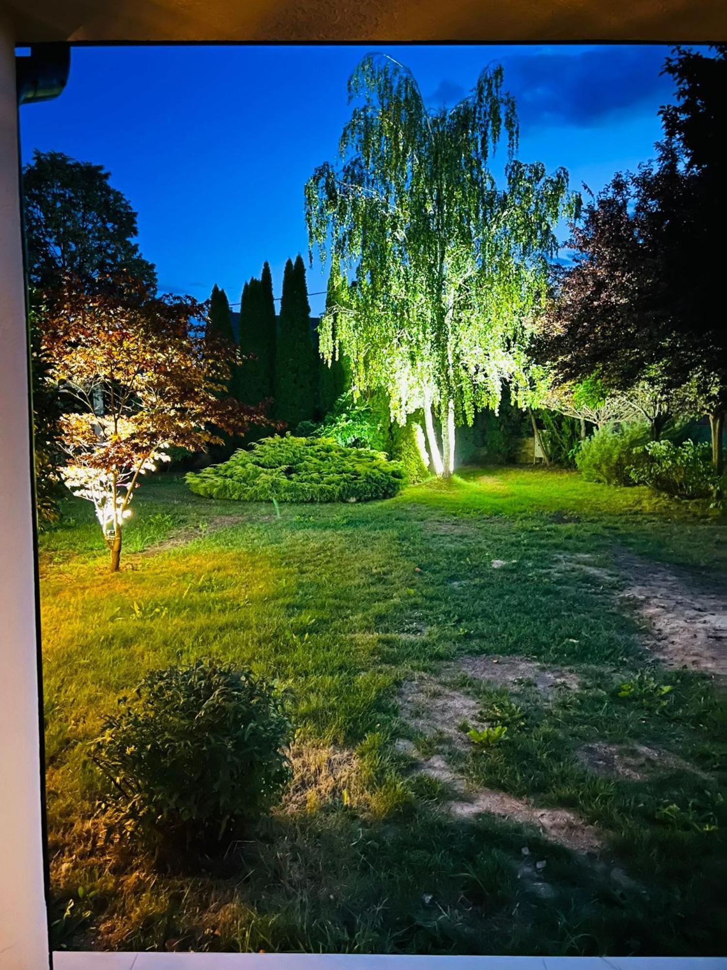 Evie'S Tree House Villa Dragomirna Екстериор снимка